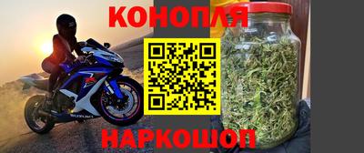 гидропоника Нальчик