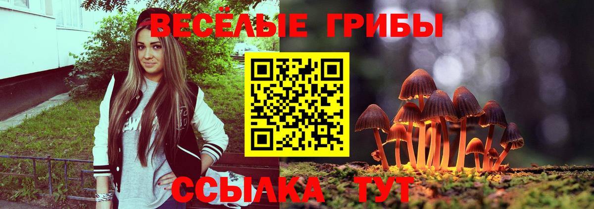 Псилоцибиновые грибы мухоморы  Вход с VPN  цены наркотик  Чехов 