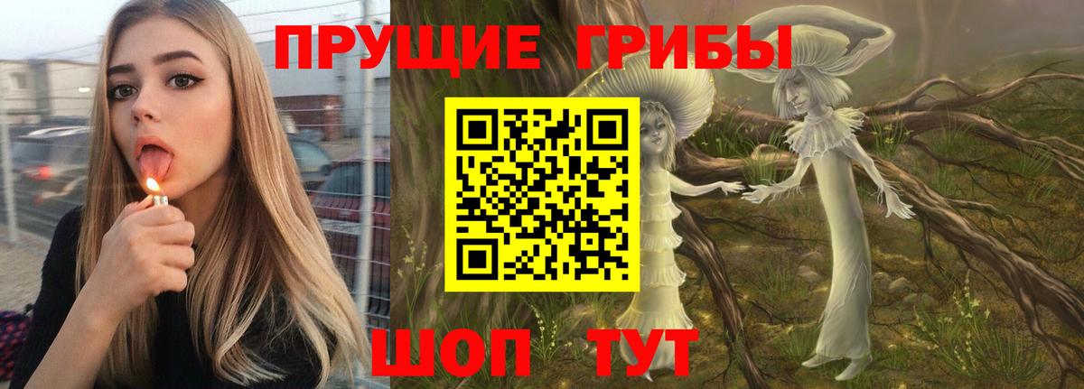 Галлюциногенные грибы Psilocybe Чехов